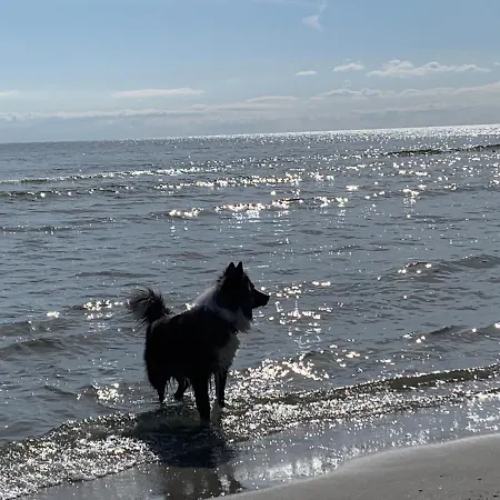 Kehrwieder * 奥斯特巴德·哥伦