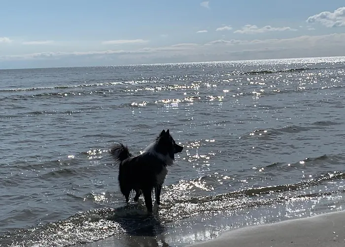 Kehrwieder * גוהרן